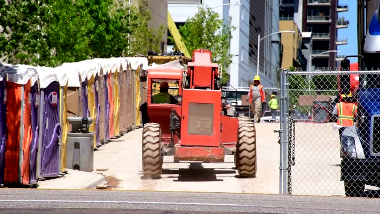 Reliable Krum, TX Tree Removal Solutions